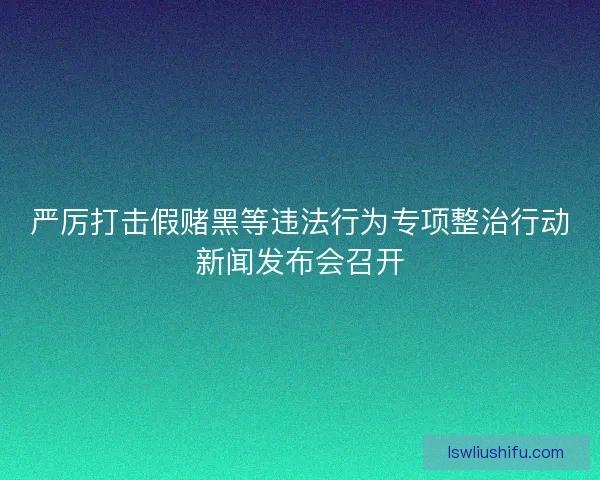 严厉打击假赌黑等违法行为专项整治行动新闻发布会召开
